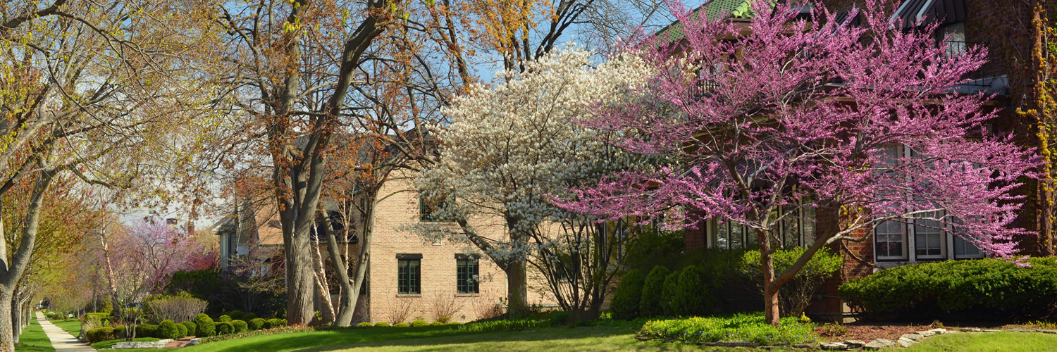 Banner image of Gurnee