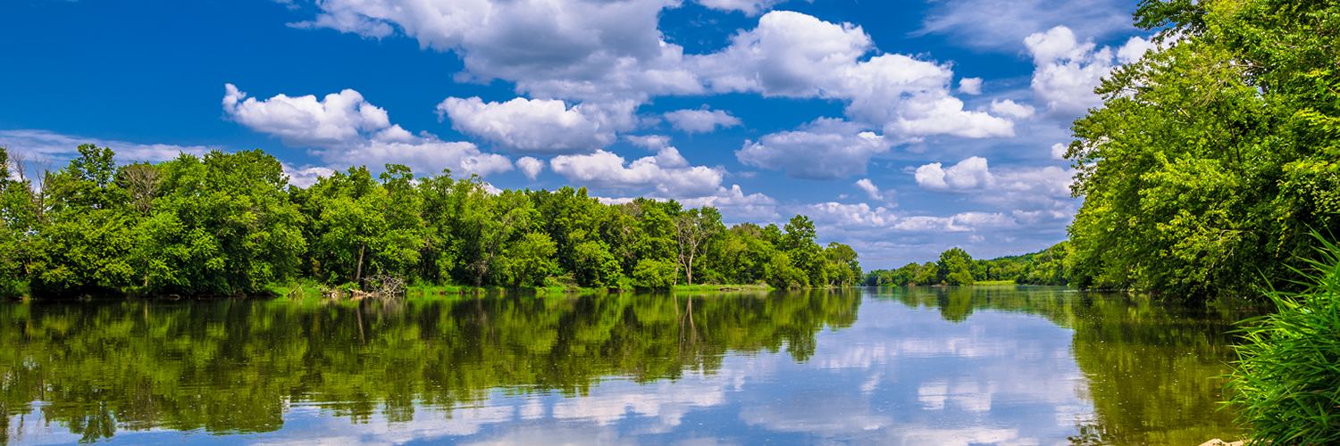 Banner image of Yorkville