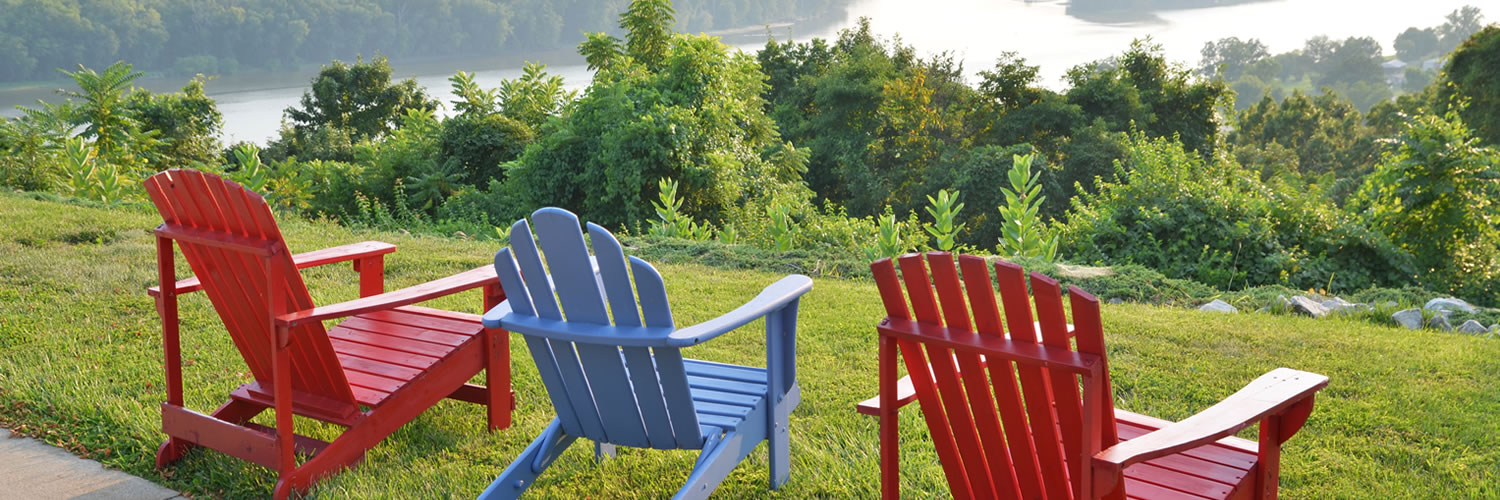 Banner image of Morris